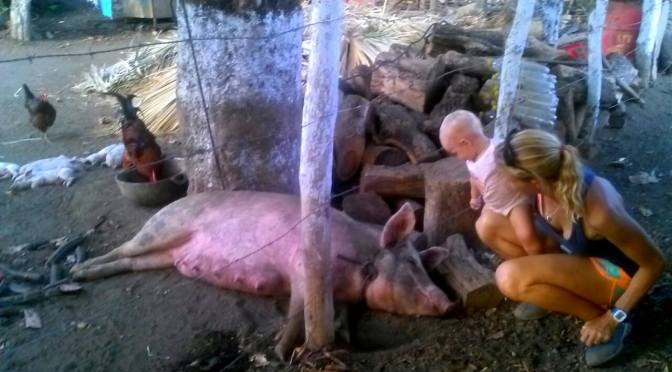 Luna Meets Two Very Interesting Animals in Nicaragua