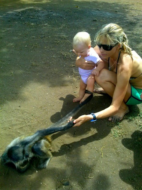 11281513_402201126650612_1390494086_o